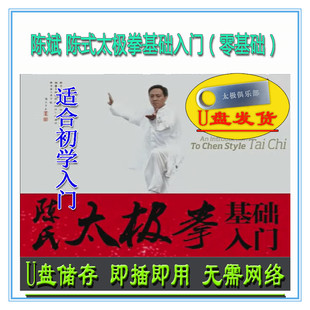 陈氏太极拳基础入门 零基础学正宗陈氏 陈斌教学动作讲解U盘视频