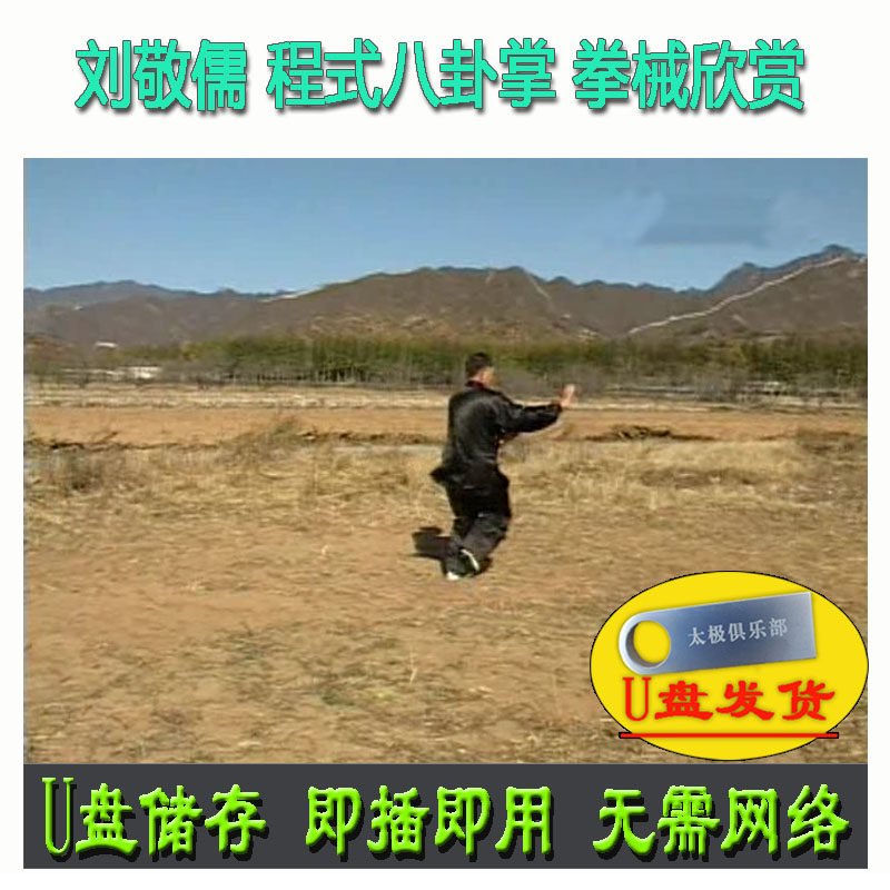刘敬儒 程式八卦掌:拳械套路欣赏 u盘视频资料程派武术演示