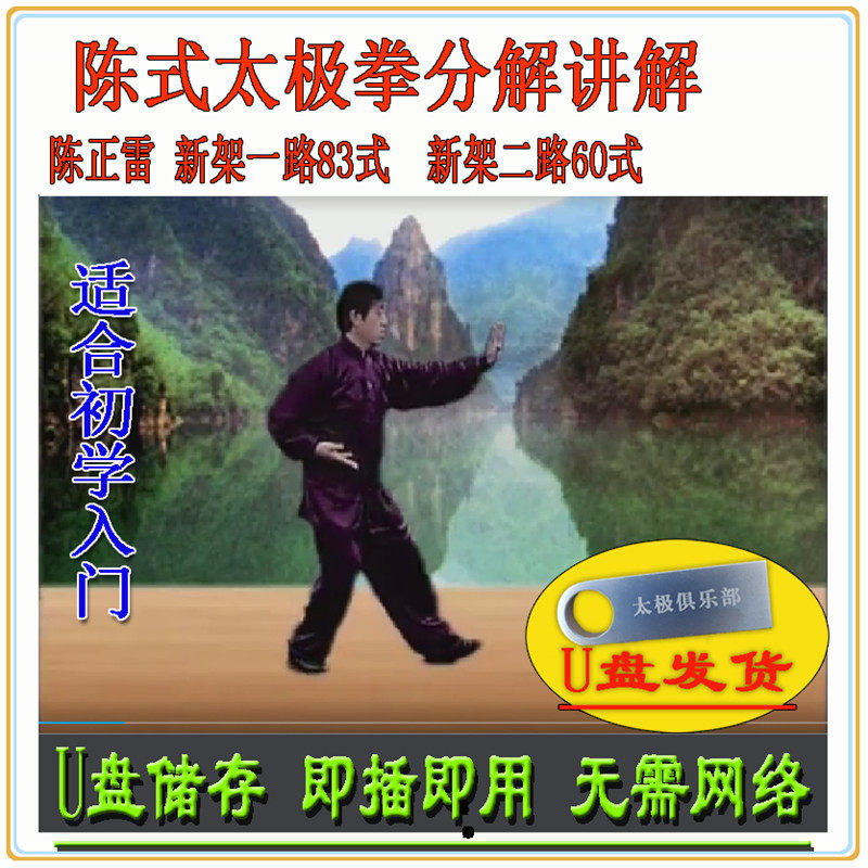 陈正雷 陈式太极拳新架二路60式分解讲解教学视频陈氏武术教程u盘