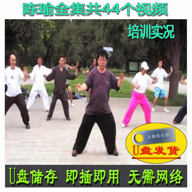 陈瑜全集U盘44个视频全套 陈氏太极拳功夫架陈式培训实况