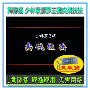 传统技击棍术武术教学 U盘视频 少林紧那罗王棍实战技法 释德扬