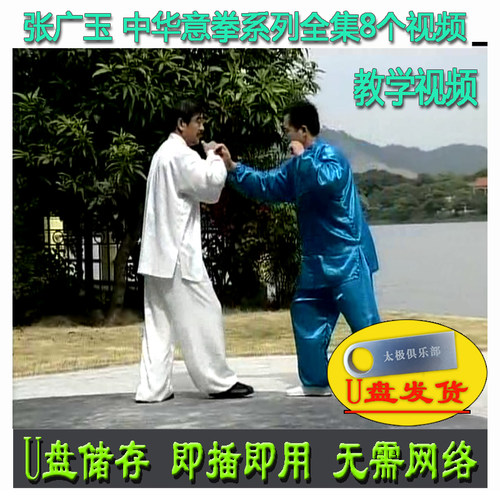 张广玉 中华意拳系列全集 U盘视频 大成拳讲解教学腿法实战步法