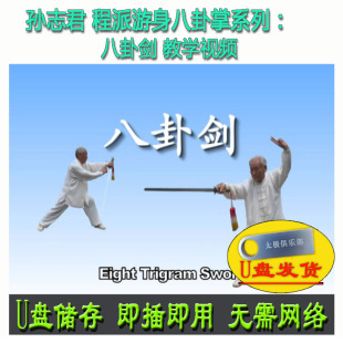 孙志君 程派游身八卦掌系列:八卦剑U盘视频李春玲演示 讲解教学