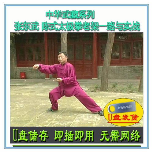 张东武 陈式太极拳老架一路与实战U盘视频 陈氏74式分解讲解教学