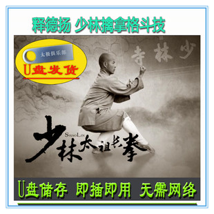 少林太祖长拳40式套路 释德扬 U盘视频 四十式教学讲解传统功夫