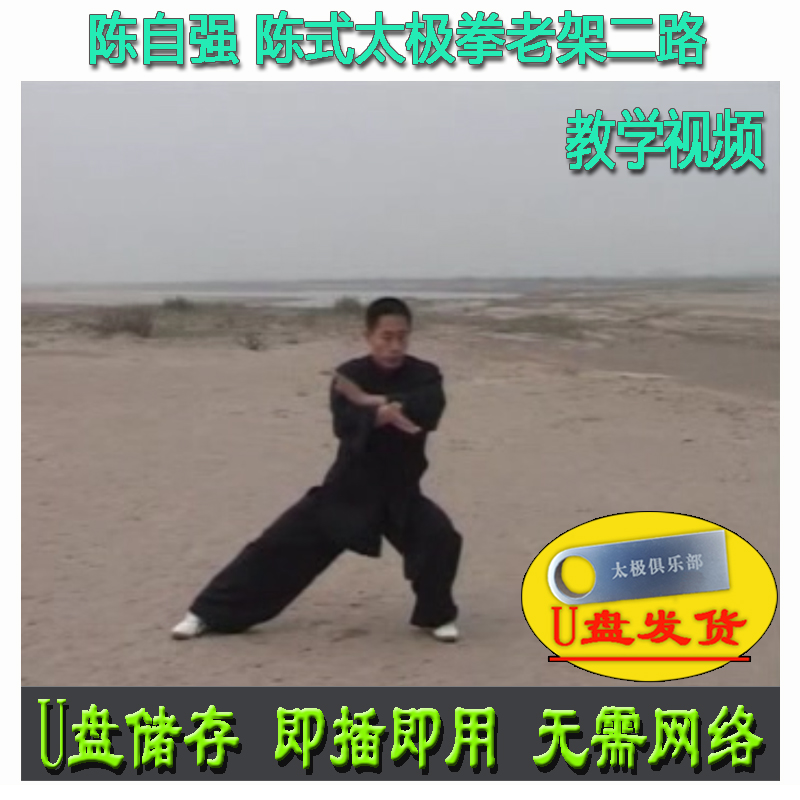 陈自强陈氏太极拳老架二路46式U盘视频中英双语陈式套路讲解教学