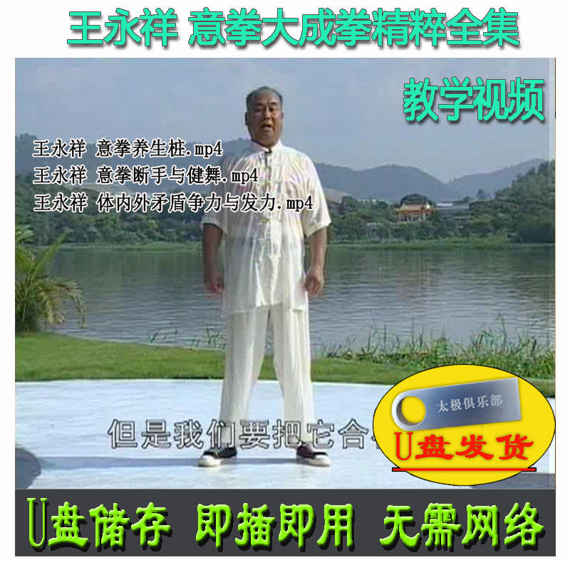 王永祥 意拳 大成拳精粹全集U盘视频 养生桩断手健舞争力发力全套