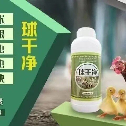 【球干净】1L装 防治小肠球虫和盲肠球虫二合一拉血便 肠黏膜脱落
