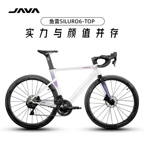 JAVA鱼雷67120套油碟碳纤维前叉