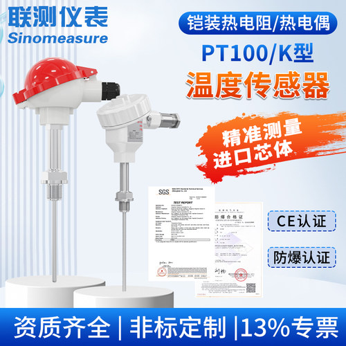 铠装热电偶高温探头pt100
