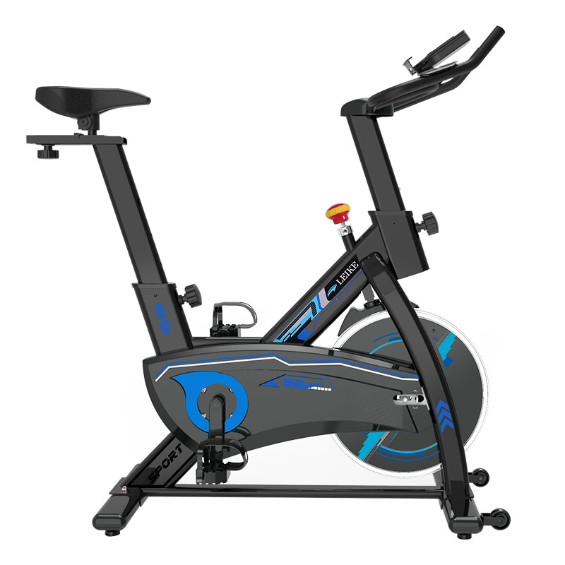 3雷克动感单车家用静音健身车室内脚踏自行车健身房减肥运动器材