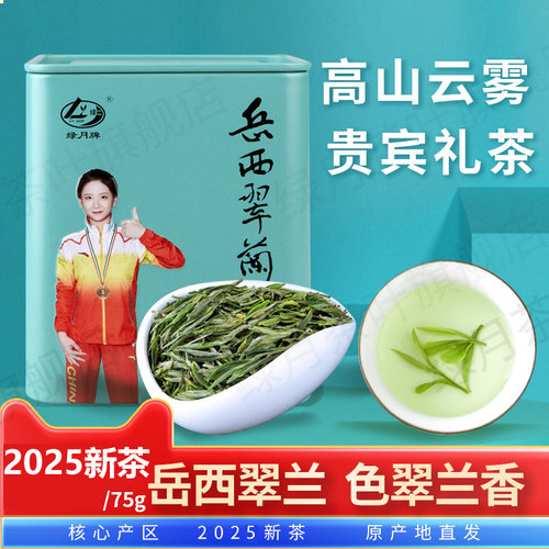 2026新茶明前特级岳西翠兰75g罐装高山云雾绿茶叶国宾礼茶春茶