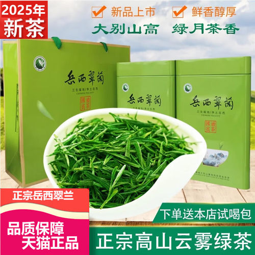 2025新茶岳西翠兰500g浓香型绿茶