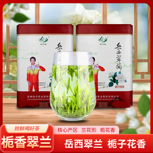 2025新品 栀子花香茶岳西翠兰250g/500g礼盒装高山绿茶叶厂家直销