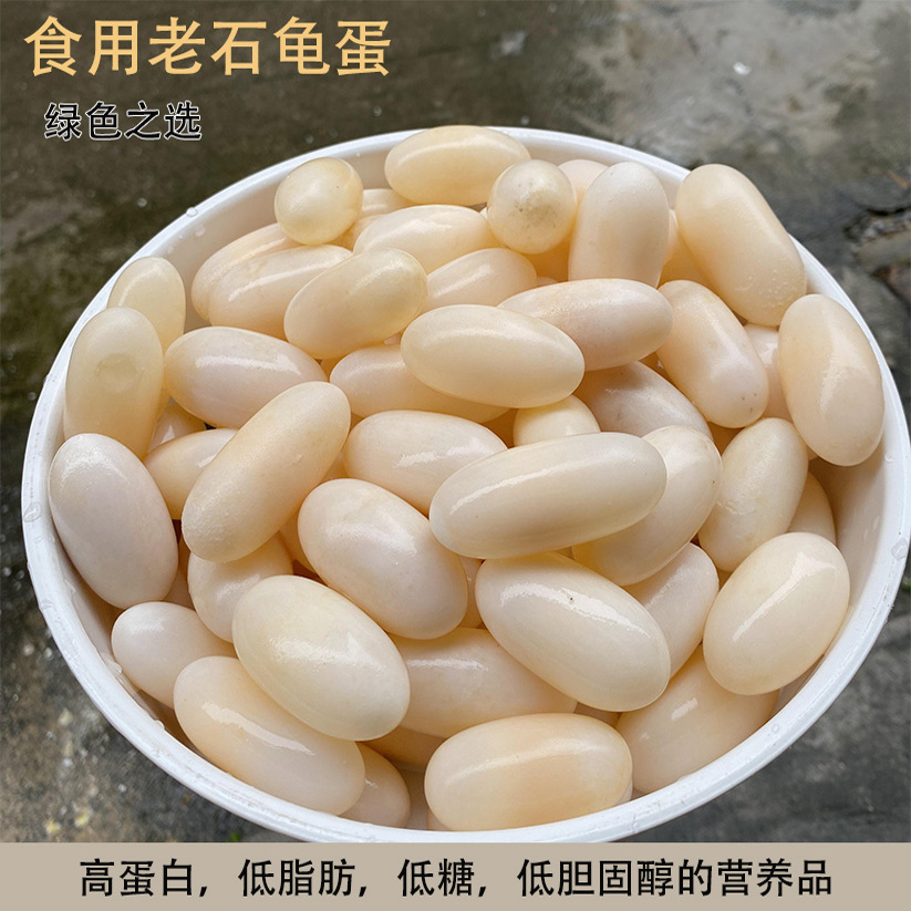 食用龟蛋石金钱龟蛋新鲜龟蛋美容泡酒辅食用材高蛋白低脂营养食品