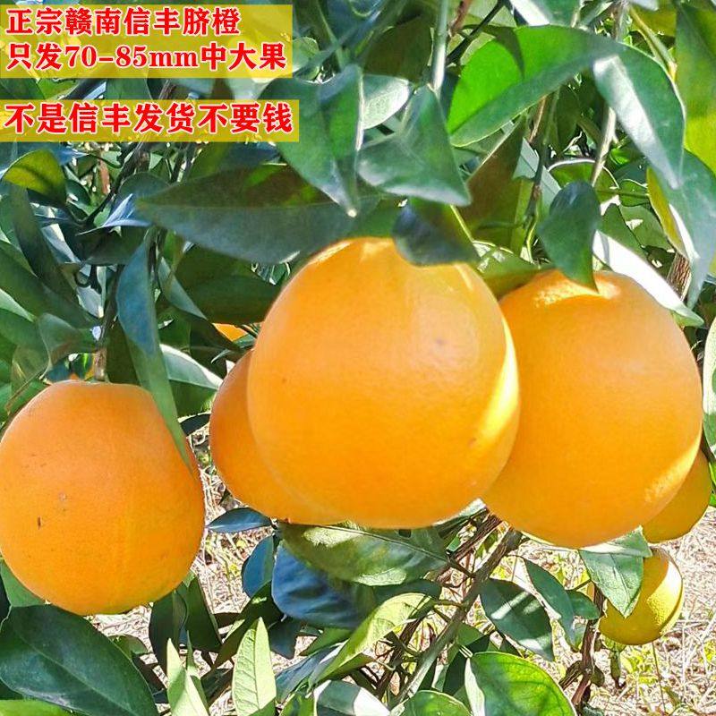 江西特产正宗赣南脐橙时令水果新鲜应季鲜橙子手剥橙9省顺丰包邮