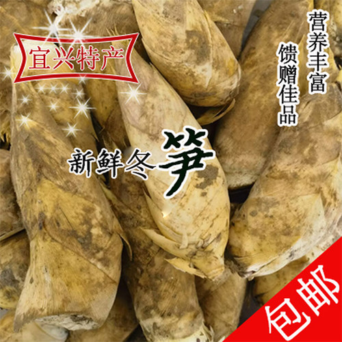 2025宜兴新鲜现挖冬笋顺丰包邮