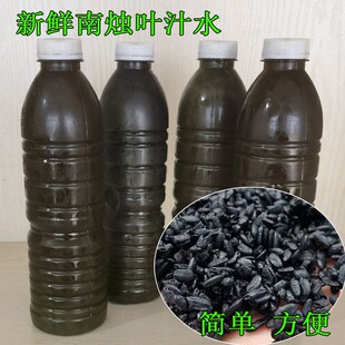 野生新鲜乌树叶汁1500g南烛叶制作乌米饭乌饭草汁5斤装乌叶汁