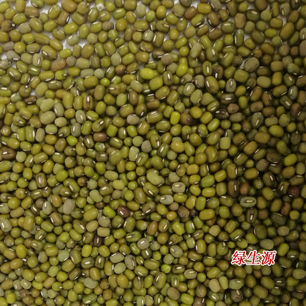 好绿豆农家绿豆肉多皮薄口感沙 500克5斤包邮绿豆