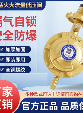 燃气烤箱专用减压阀低压阀 新麦新南方恒联红菱力嘉厨宝顺麦得宝