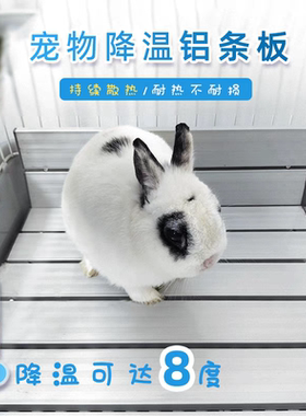 铝制降温板兔子龙猫豚鼠消暑散热