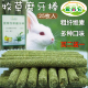 买二送一 宠物磨牙用品 牧草磨牙棒兔子龙猫荷兰猪零食提摩西草棒