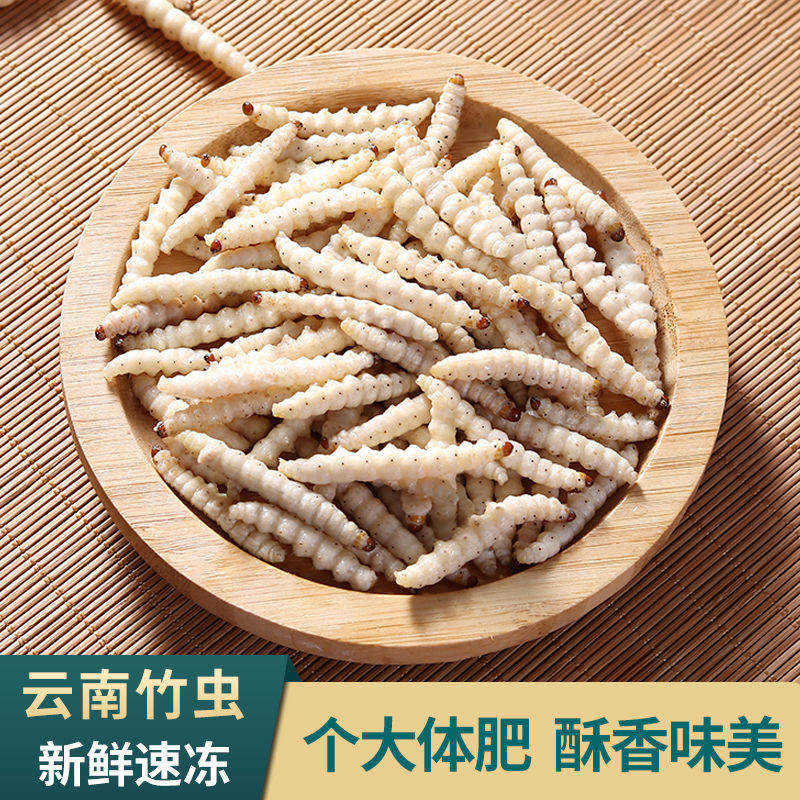 竹虫野生竹节虫新鲜活速冻冰冻竹笋虫油炸云南特产500g装顺风带冰