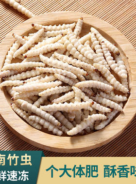 竹虫野生竹节虫新鲜活速冻冰冻竹笋虫油炸云南特产500g装顺风带冰