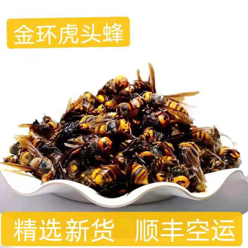 虎头蜂金环大马蜂胡蜂葫芦蜂黄蜂赛云南黑蜂活蜂现泡250克虎头蜂