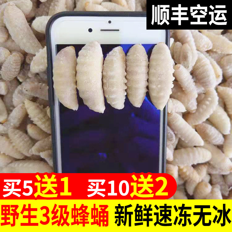 深山野生马蜂蜂蛹活体500g新鲜冰冻油炸即食网红特产虎头蜂虫幼虫