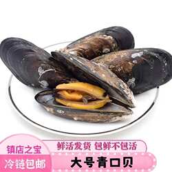 顺丰冷链 大连海虹鲜活青口贝整箱水产淡菜贝类大中小通货冷冻青