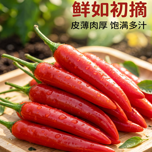 云南高山现摘皮薄多汁朝天辣