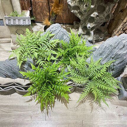 仿真花手感植物插花搭配小花草客厅阳台装饰摆件塑料绿植假花蕨草