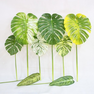 仿真蔓绿绒火鹤王水晶花烛网红彩色叶室内悬挂绿植物墙面造景装饰