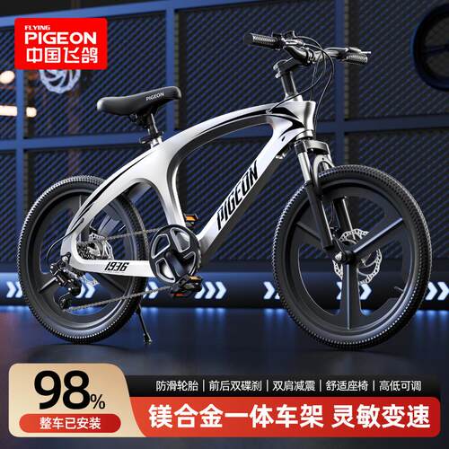 整车发货丨送货上门丨官方正品