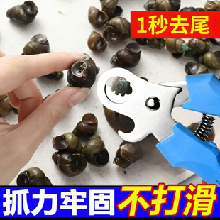 田螺剪尾器螺蛳剪刀田螺钳子去尾剪商用家用田螺神器长尾螺剪尾器