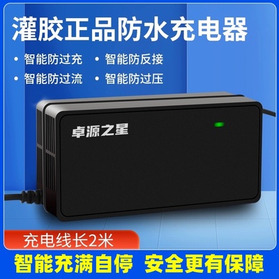 雅迪爱玛灌胶版充电器