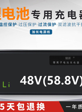 48V58.8V3A8A5A2A10电动车锂电池快速充电器三元聚合物锂离子14串
