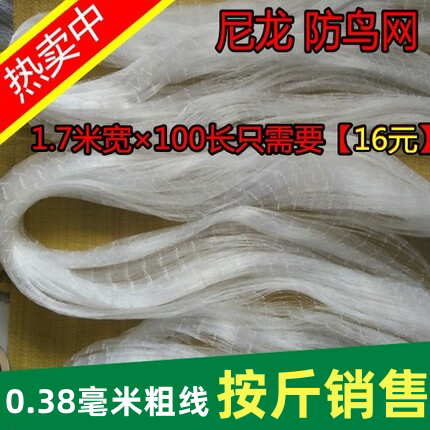 果园防鸟网防护网天网