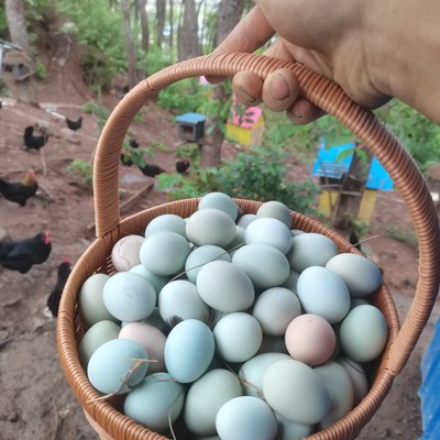 大凉山绿壳松珍土鸡蛋30枚