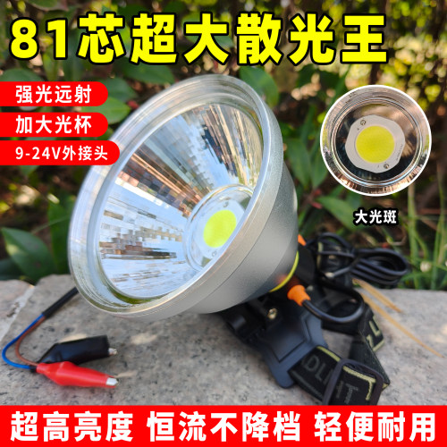 超亮泛光灯头12V外接电瓶散光强