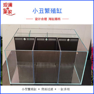 小丑繁殖缸/海缸背滤/小型海水缸/ 金晶超白/黑波水刀一体鱼梳