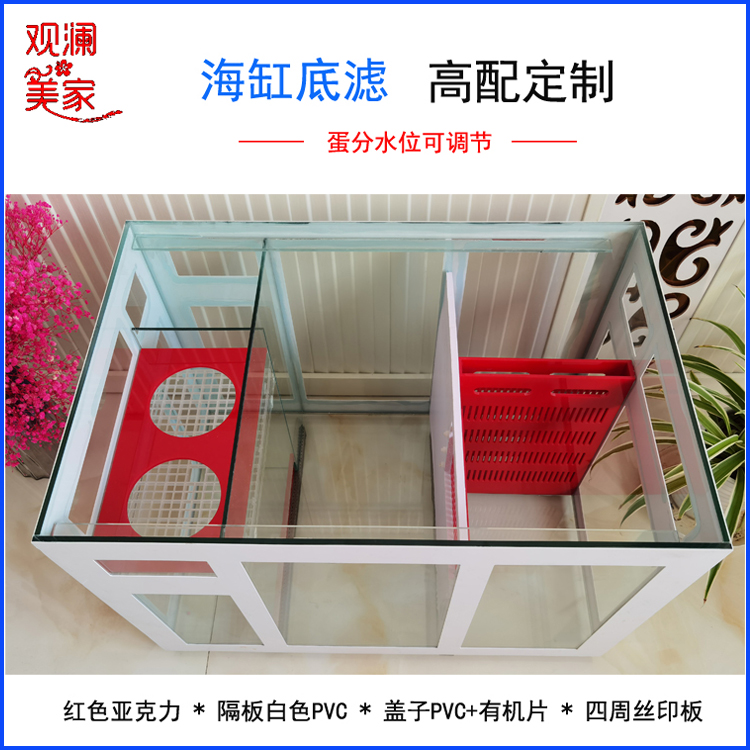 金晶高端定制过滤包破损小丑鱼