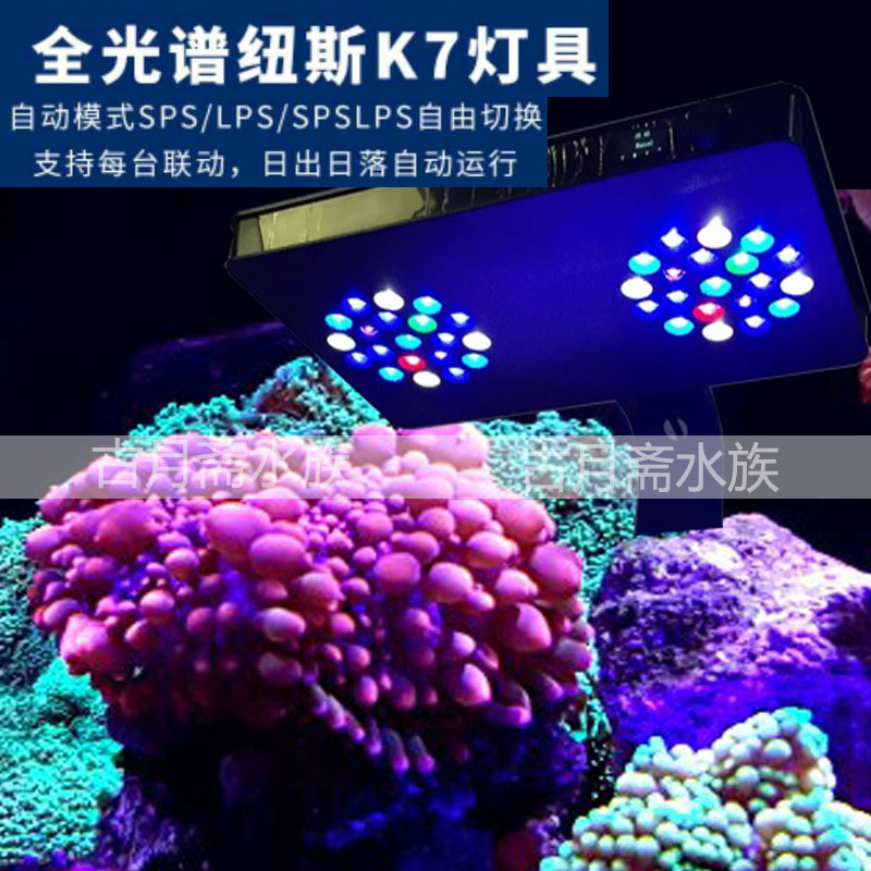 纽斯K7 ap700 AI26支架EcoTech XR30迈光LED珊瑚灯/LED变焦手电筒