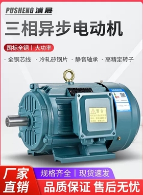 浦晟电机Y112M-4 4KW/1.5/2.2/YE3-132M-4 7.5KW全铜国标马达380V