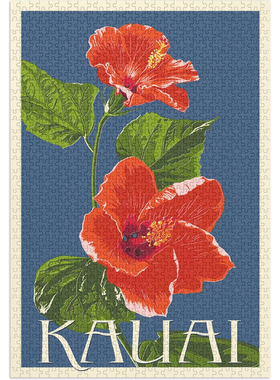 （订）美国进口拼图 1000片 Kauai