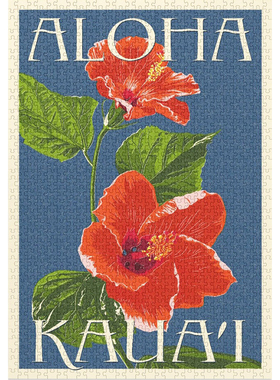（订） Kauai ALOHA 美国进口拼图 1000片