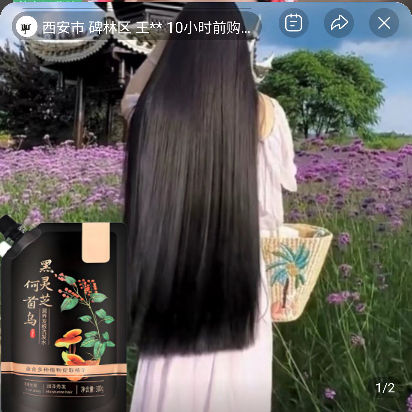 浩宜优选黑灵芝何首乌润养发根洗洗发水