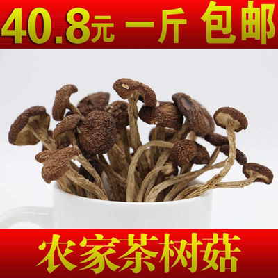 精挑新货茶树菇干货500克包邮不开伞茶树菇香菇茶树菇250*2包邮