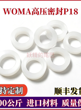 WOMA超高压清洗机阀组密封圈